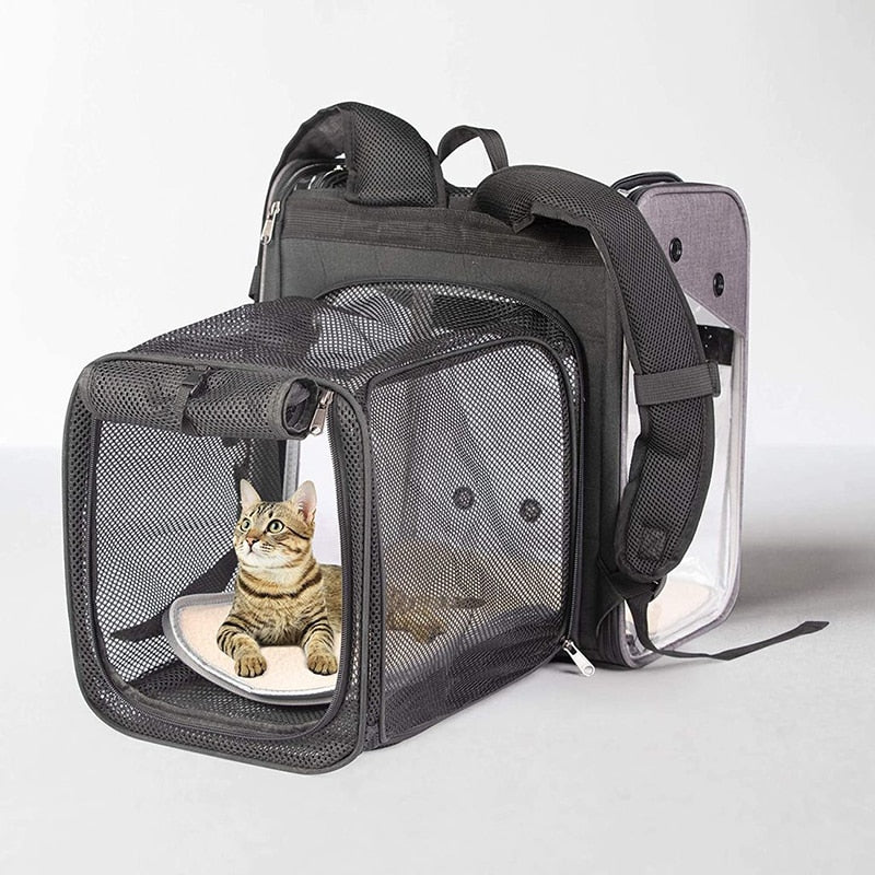 Cat Pet Carrier Airline Approved Backpack – Nekoby