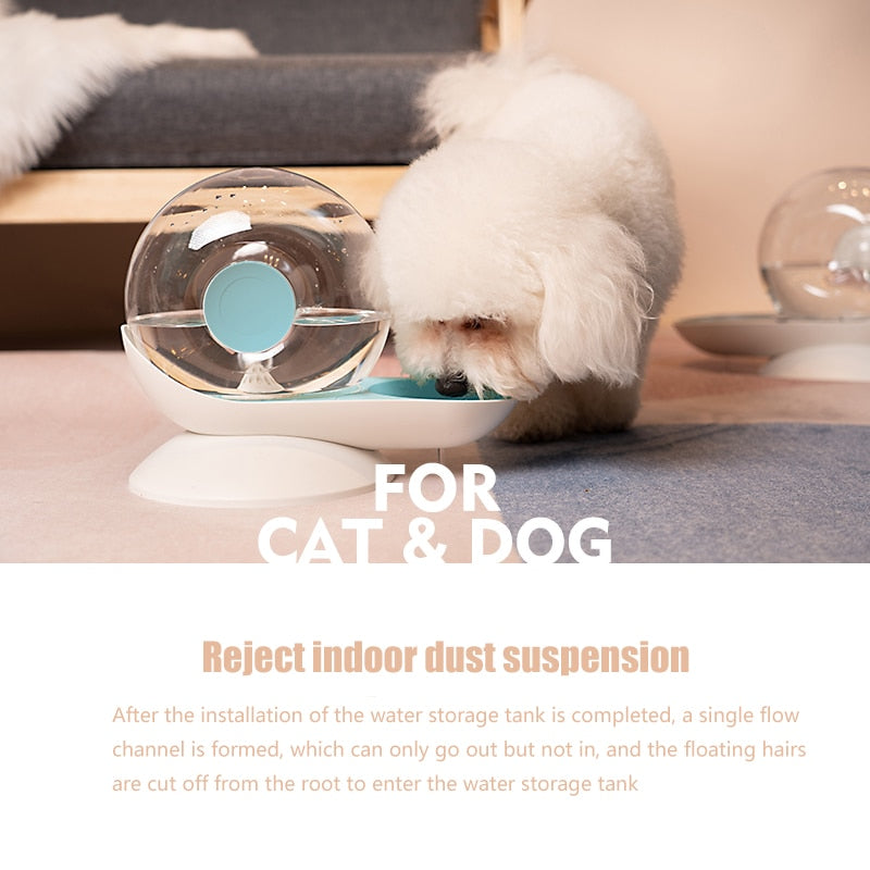 snails water cat fountain - Nekoby snails water cat fountain