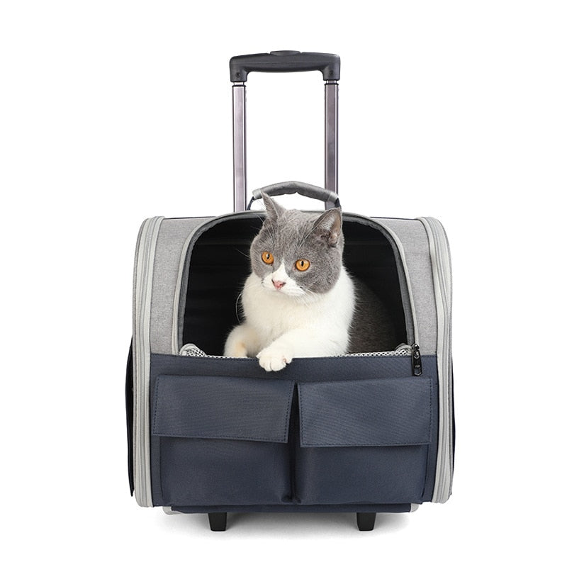Outdoor Portable Breathable Cat Dog Carrier with wheels - Nekoby Outdoor Portable Breathable Cat Dog Carrier with wheels 31 BULE
