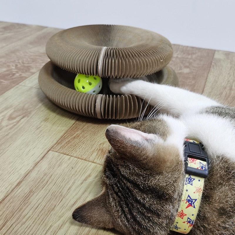 Magic Organ Cat Scratching Board with Toy Bell - Nekoby Magic Organ Cat Scratching Board with Toy Bell