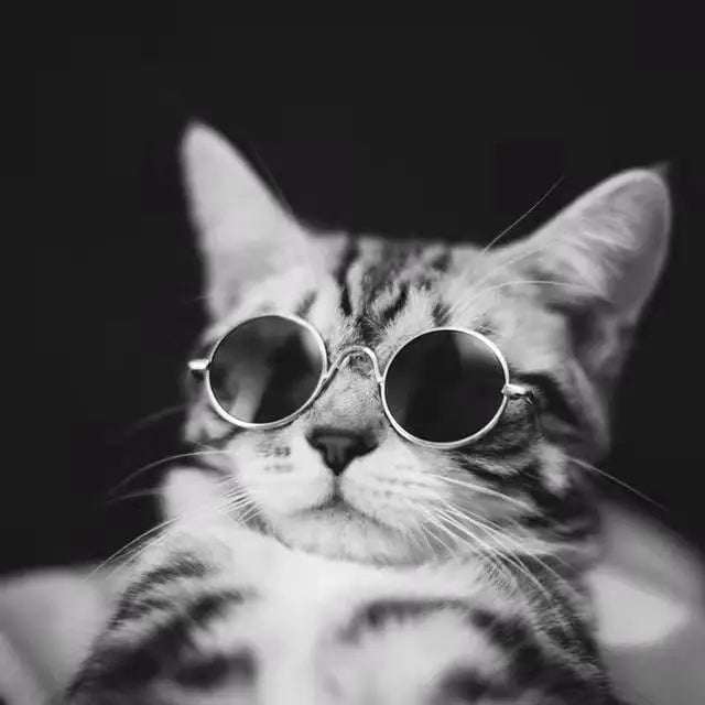Cute Vintage Round Pet Sunglasses for Small Dogs and Cats Reflection Eyewear Photos Props Accessories - Nekoby Cute Vintage Round Pet Sunglasses for Small Dogs and Cats Reflection Eyewear Photos Props Accessories