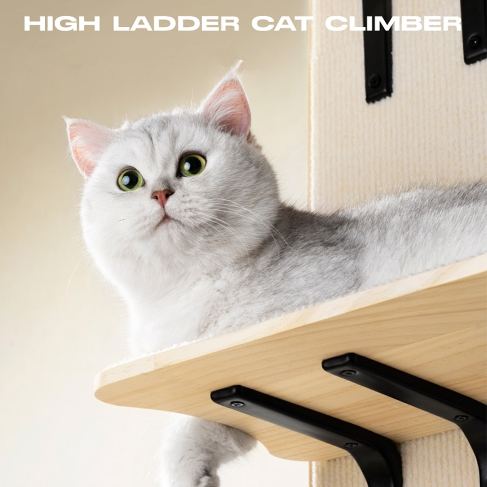 Elevate Your Cat's Environment with a State-of-the-Art Indoor Climbing Wall - Unleash Endless Entertainment and Activity - Nekoby Elevate Your Cat's Environment with a State-of-the-Art Indoor Climbing Wall - Unleash Endless Entertainment and Activity