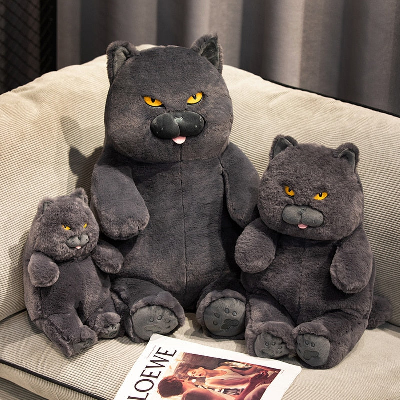 Black cat hotsell teddy bear