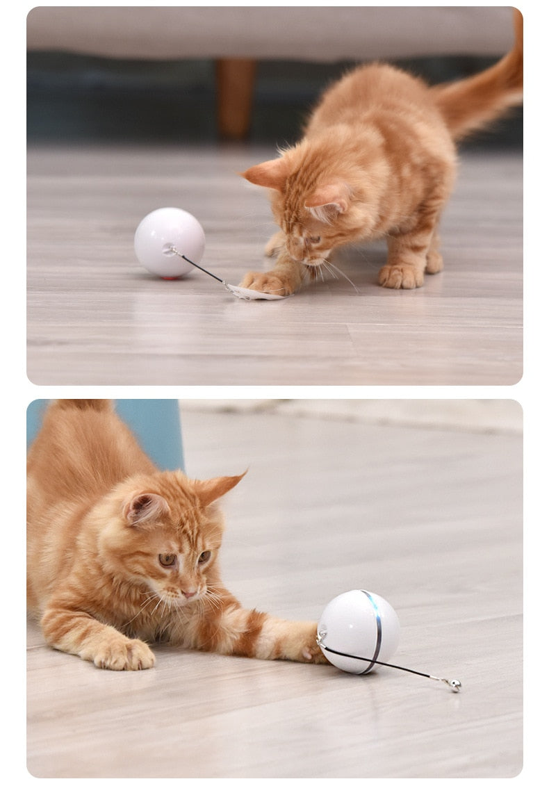 Automatic Smart Cat Toys Ball - Nekoby Automatic Smart Cat Toys Ball