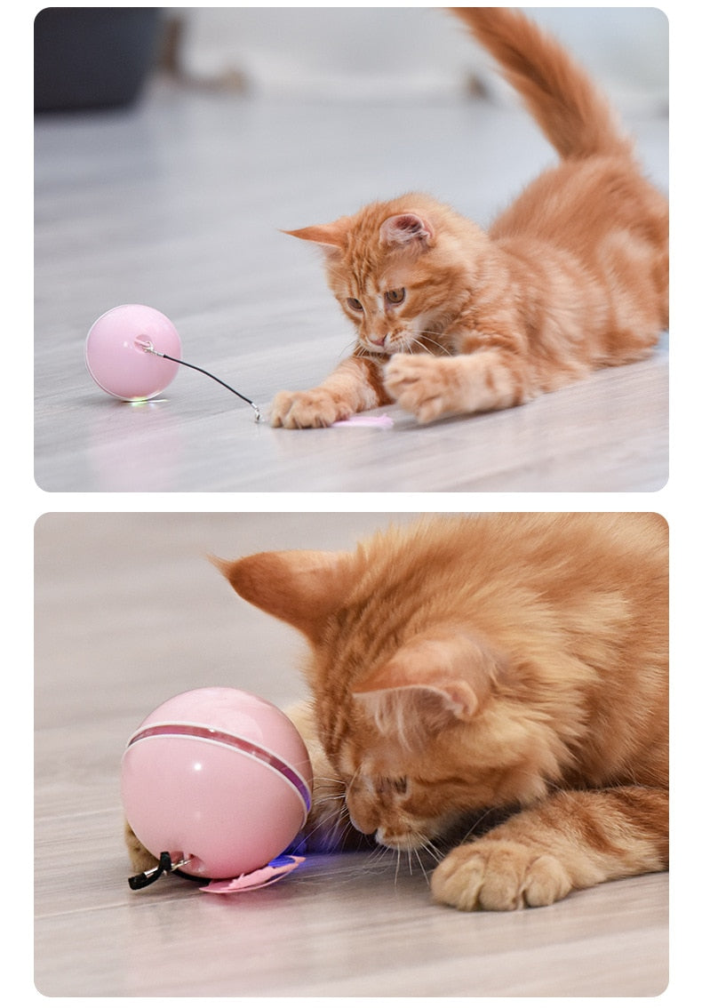 Automatic Smart Cat Toys Ball - Nekoby Automatic Smart Cat Toys Ball