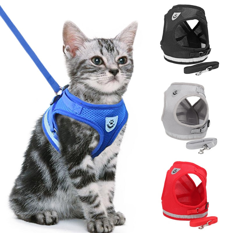 Adjustable Walking Lead Leash For Puppy and Cat - Nekoby Adjustable Walking Lead Leash For Puppy and Cat