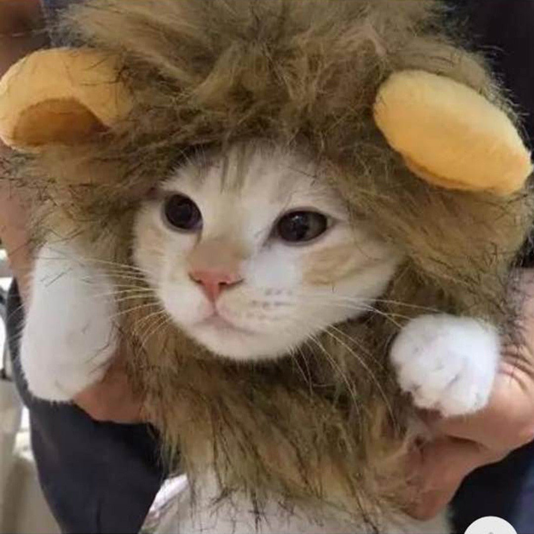 Cat lion fashion headgear - Nekoby Cat lion fashion headgear