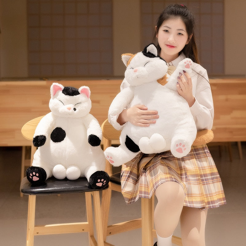 Japanese cat shop stuffed animal