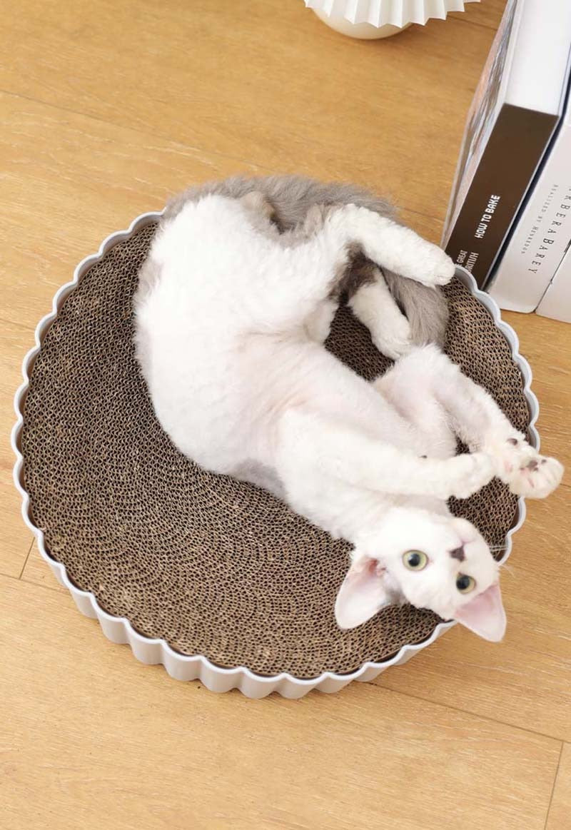 2 In1 Cats Scratching Board Round Scratcher Pad Cardboard - Nekoby 2 In1 Cats Scratching Board Round Scratcher Pad Cardboard