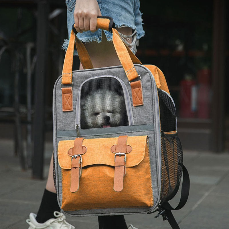 Nylon Foldable Cat Backpack Outdoor - Nekoby Nylon Foldable Cat Backpack Outdoor